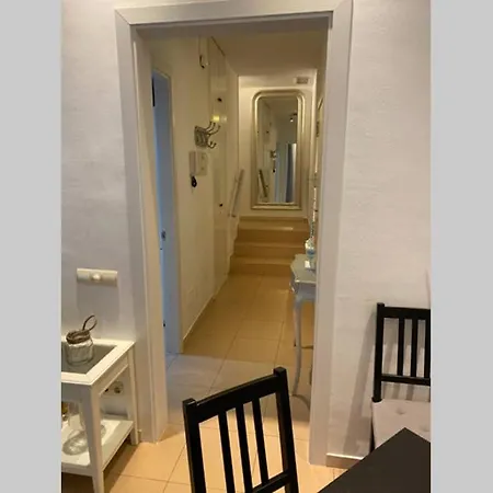 Vive La Playa Y La Noche De Aqui