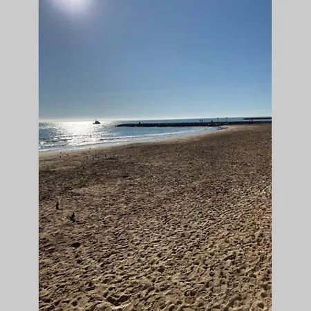 Vive La Playa Y La Noche De Aqui