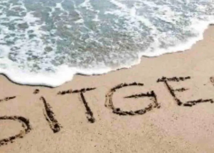 Vive La Playa Y La Noche De Aqui