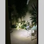 Vive La Playa Y La Noche De Aqui