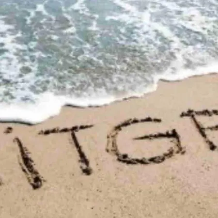 Vive La Playa Y La Noche De Aquí