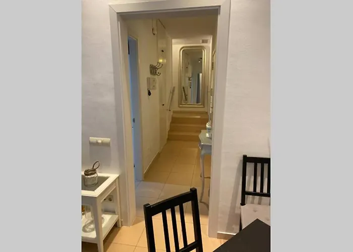 Vive La Playa Y La Noche De Aquí