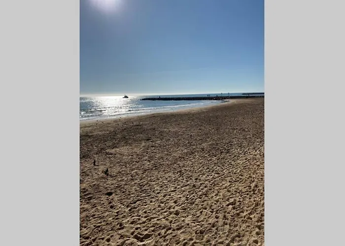 Vive La Playa Y La Noche De Aquí